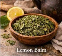 Lemon Balm (Melissa officinalis) — 1 oz