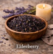 Elderberry (Sambucus nigra) — 1 oz