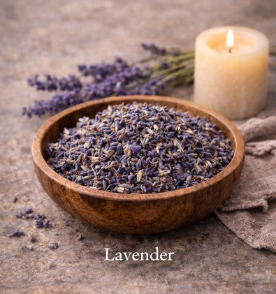 Lavender (Lavandula angustifolia) — 1 oz