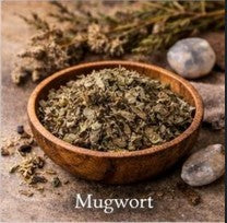 Mugwort (Artemisia vulgaris) — 1 oz
